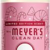 71Wh8XtfYTL._AC_SL1500_ Mrs Meyers Kitchen Set Review Best Dish Soap Multi Surface Cleaner Peppermint